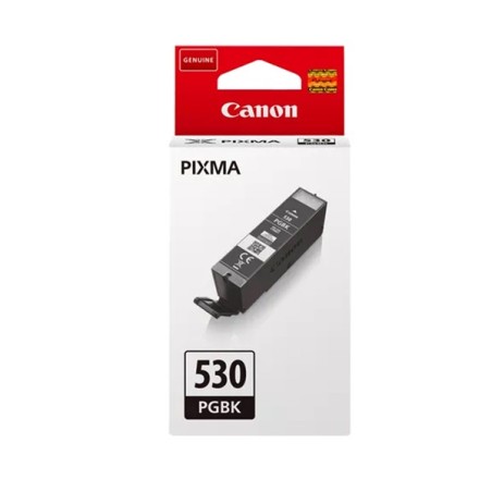 Canon Cartuccia Ink Nero Pigmenti PGI530BK