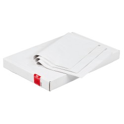 Carta velina per pacchi 21 gr foglio 100 x 140 cm bianco Rex Sadoch conf. 100 fogli