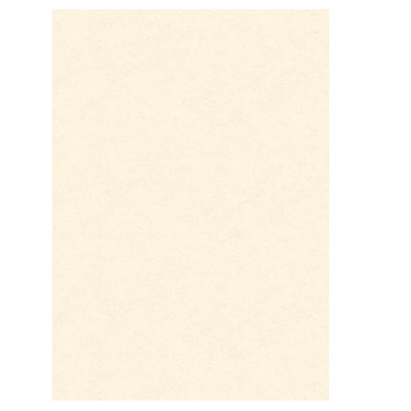 Diplomi in pergamena stampa offset A3 160 gr neutro avorio Kartos conf. 10 pezzi