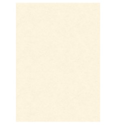 Diplomi in pergamena stampa offset A3 160 gr neutro avorio Kartos conf. 10 pezzi