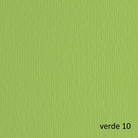 Cartoncino Elle Erre 50x70cm 220gr verde pisello 110 Fabriano blister 20 fogli