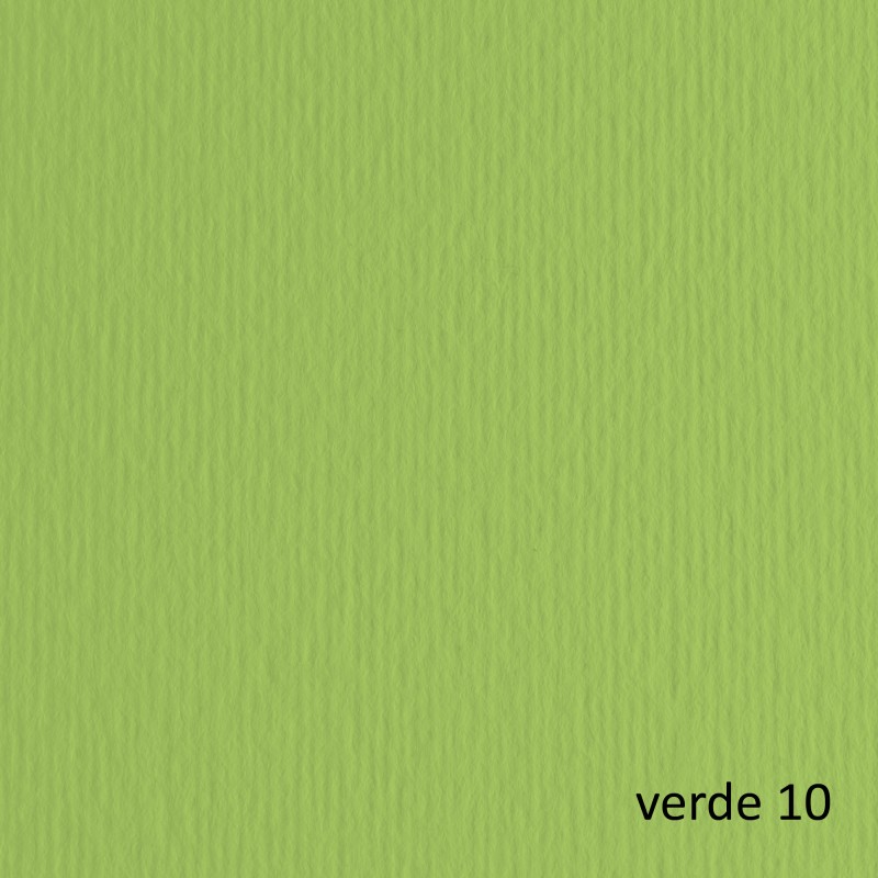 Cartoncino Elle Erre 50x70cm 220gr verde pisello 110 Fabriano blister 20 fogli