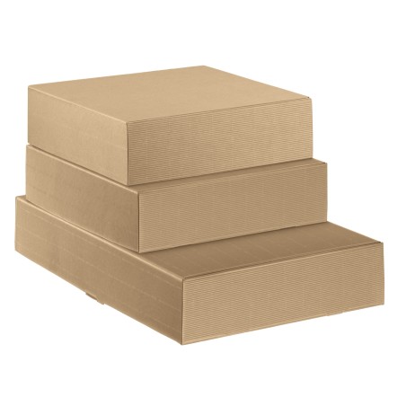 Scatola cantinetta 2 bottiglie 34 x 18,5 x 9 cm cartone onda avana Scotton