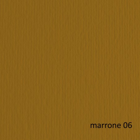 Cartoncino Elle Erre 50x70cm 220gr marrone 106 Fabriano blister 20 fogli