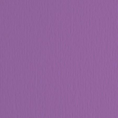 Cartoncino Elle Erre 70x100cm 220gr viola 104 Fabriano blister 10 fogli
