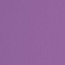 Cartoncino Elle Erre 70x100cm 220gr viola 104 Fabriano blister 10 fogli