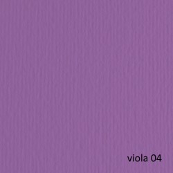 Cartoncino Elle Erre 50x70cm 220gr viola 104 Fabriano blister 20 fogli