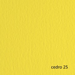 Cartoncino Elle Erre 50x70cm 220gr cedro 25 Fabriano blister 20 fogli