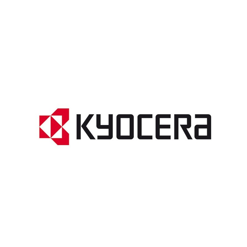 Kyocera Vaschetta Recupero Toner WT3100