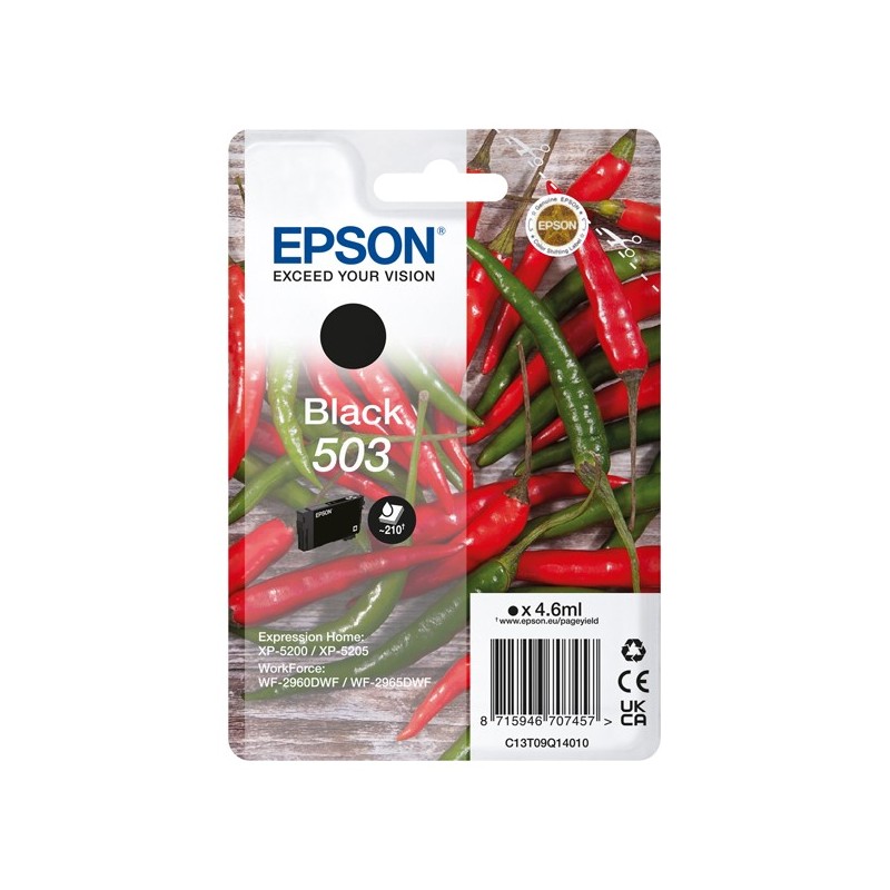 Epson Cartuccia Nero 503 C13T09Q14010 4,6 ml