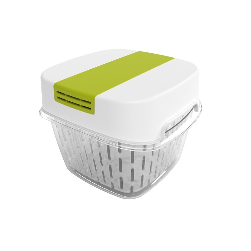 Contenitore per alimenti Dynamic Box Fresh 1,6 L Rotho