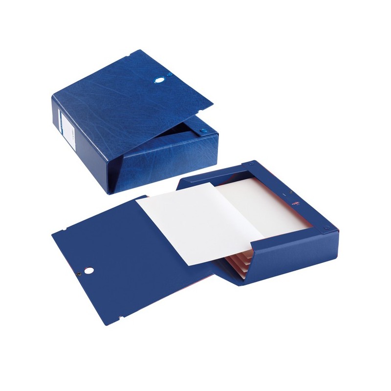 Scatola archivio Scatto dorso 6 cm 25 x 35 cm blu Sei Rota