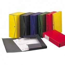 Scatola archivio Project dorso 8 cm 25 x 35 cm giallo Esselte