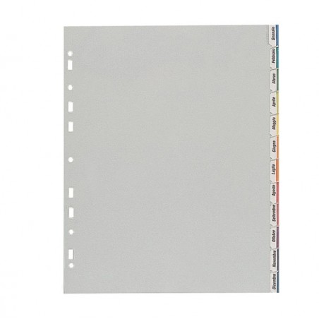 Separatore 12 tacche personalizzabili PP 22x30 cm grigio Favorit
