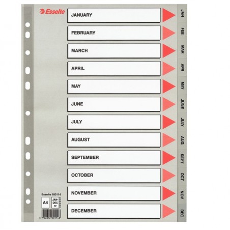 Separatore mensile Gen/Dic PPL A4 grigio Esselte