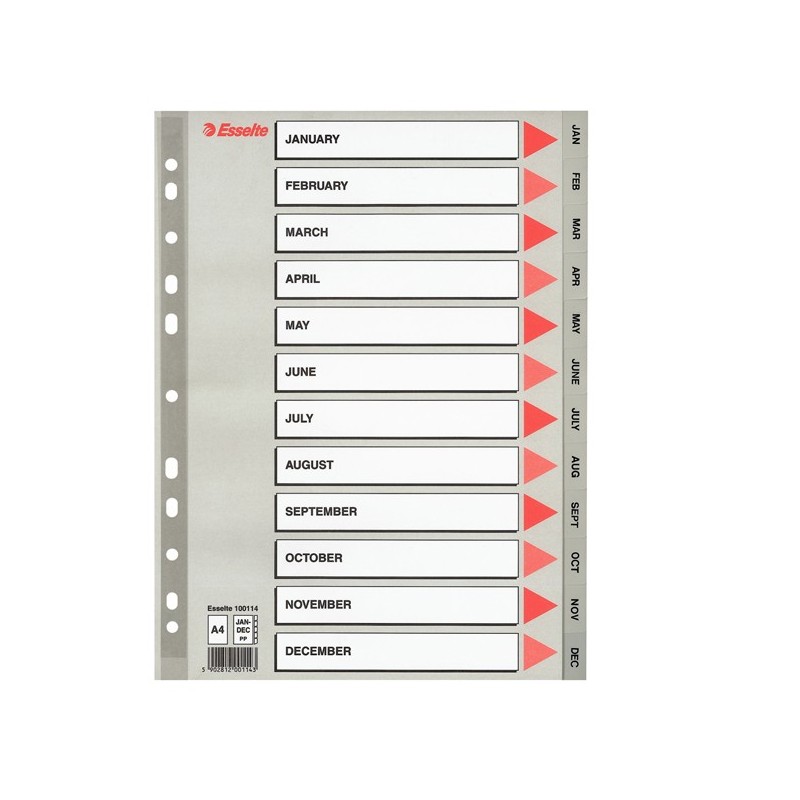 Separatore mensile Gen/Dic PPL A4 grigio Esselte
