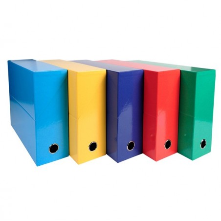 Scatola progetto Iderama 5 colori assortiti classici dorso 90mm 25x33cm Exacompta