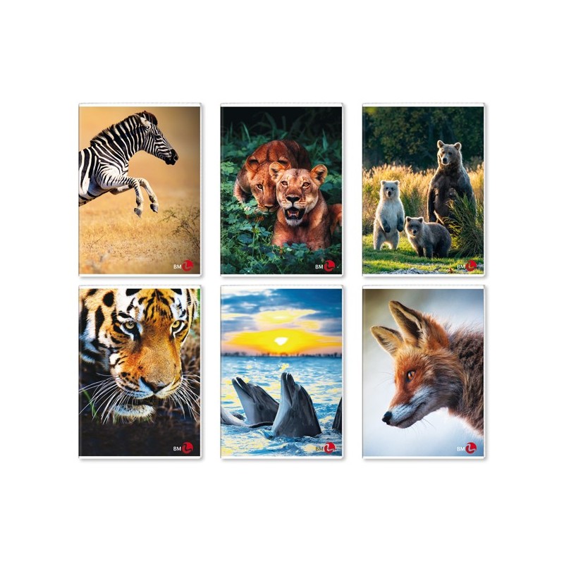 Maxiquaderno A4 40fg+2 80gr 1 rigo c/margine Animal 2023 BM