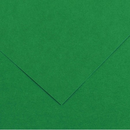 Foglio Colorline 70x100 cm 220 gr verde vivo Canson
