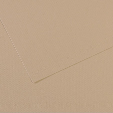 Foglio MiTeintes A4 160 gr grigio trianon Canson