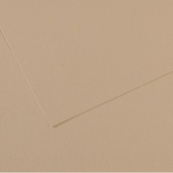 Foglio MiTeintes A4 160 gr grigio trianon Canson