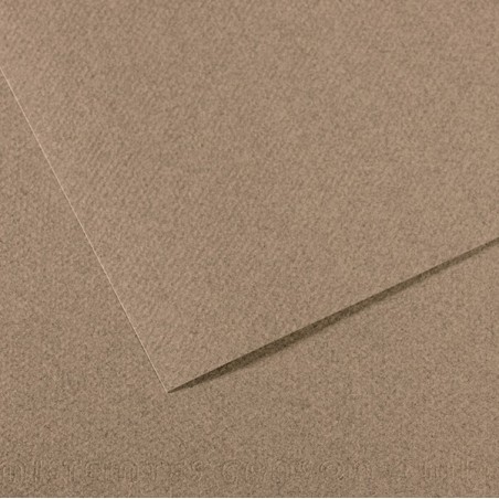 Foglio MiTeintes A4 160 gr grigio screziato Canson