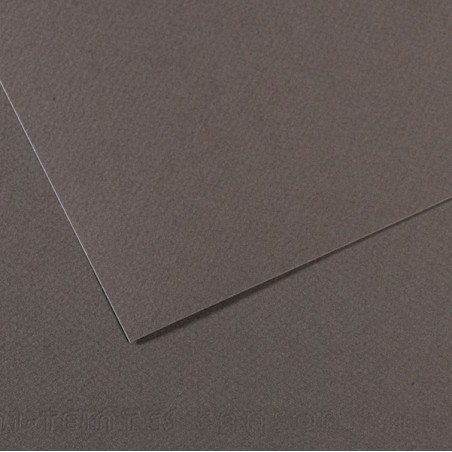 Foglio MiTeintes A4 160 gr grigio ardesia Canson