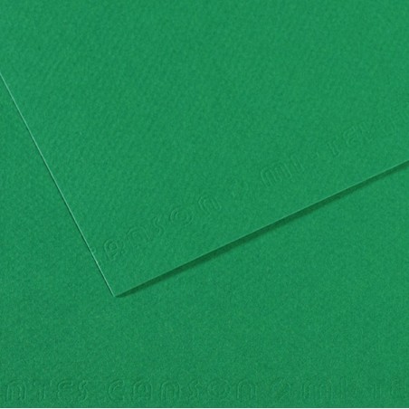 Foglio MiTeintes A4 160 gr verde biliardo Canson