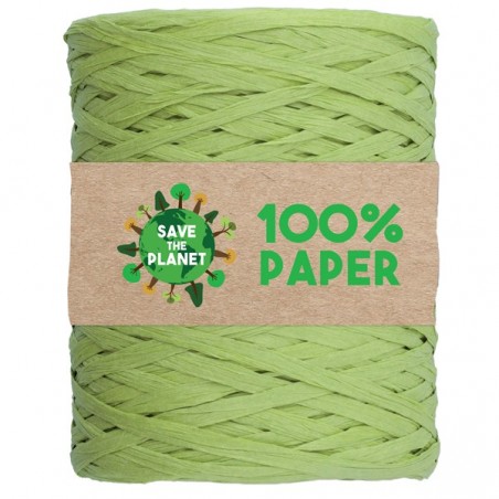 Nastro Rafia 100 m carta verde 10 Brizzolari