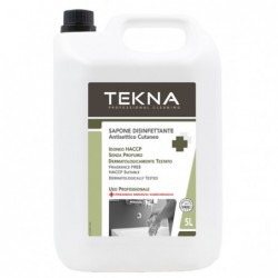 Sapone disinfettante senza profumo 5 lt Tekna
